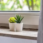 Urbanes Nest, Ideal Fuer Entdecker Apartmán *